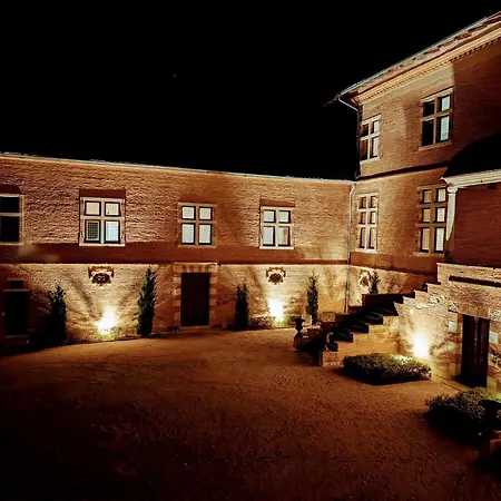 Chateau De Savignac-Mona