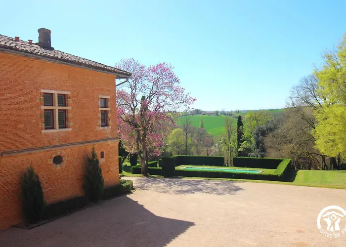 Chateau De Savignac-Mona