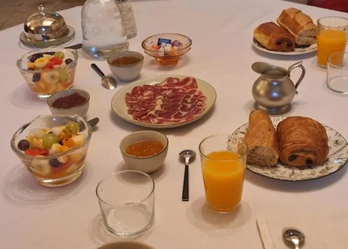 Bed and breakfast Chateau De Savignac-Mona