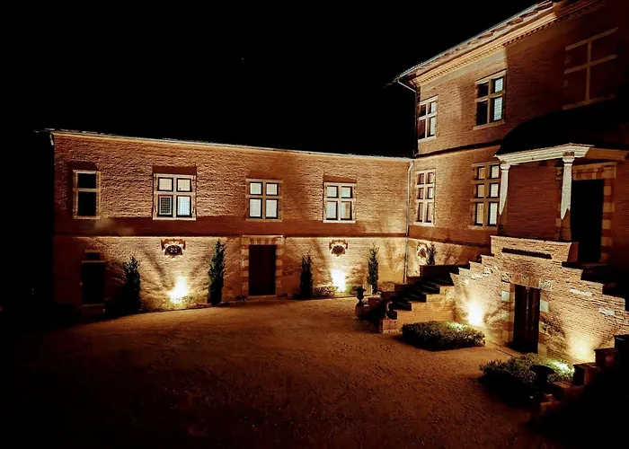 Chateau De Savignac-Mona